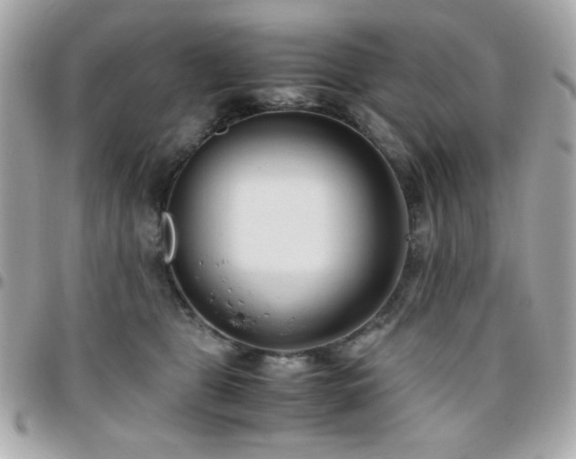X0000096460469200801241410