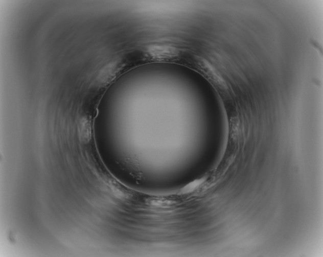 X0000096460471200801241410