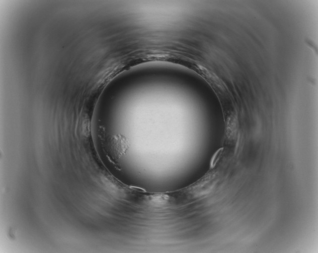 X0000096460474200801241410