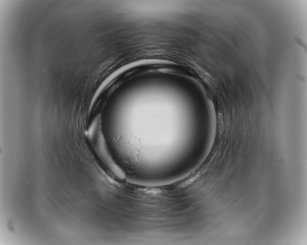 X0000096460475200801241410