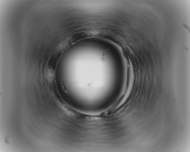 X0000096460476200801241410