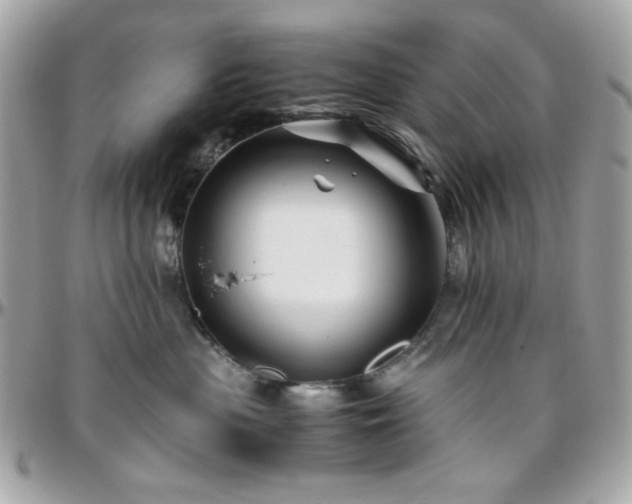 X0000096460477200801241410