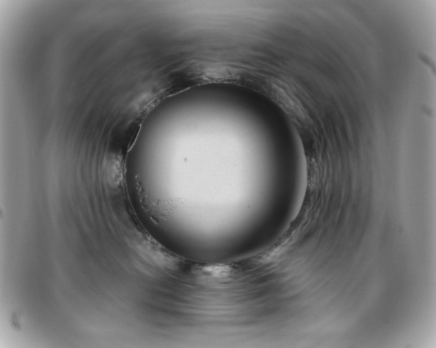 X0000096460478200801241410