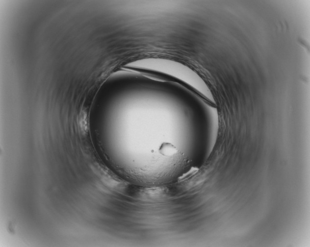 X0000096460479200801241410