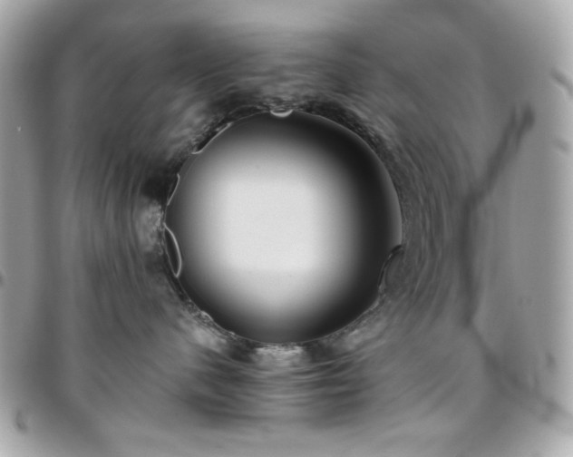 X0000096460480200801241410