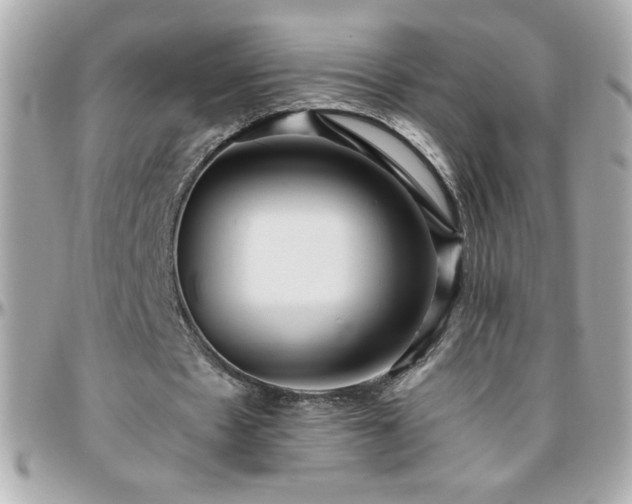 X0000096460481200801241410