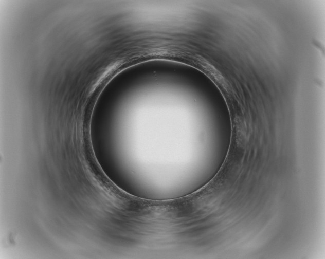 X0000096460482200801241410