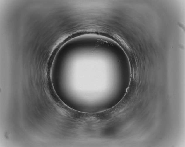 X0000096460483200801241410