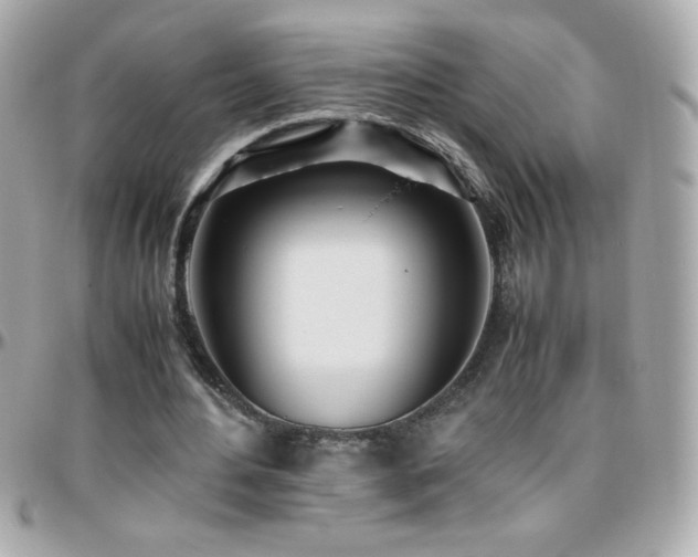 X0000096460484200801241410