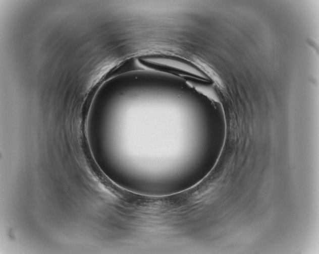 X0000096460485200801241410