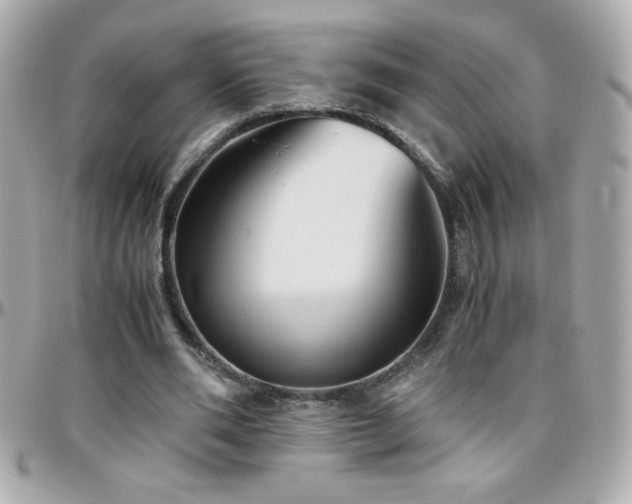 X0000096460486200801241410