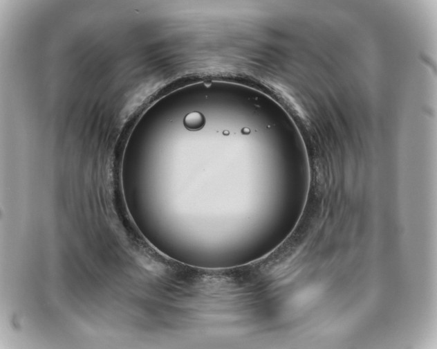 X0000096460487200801241410