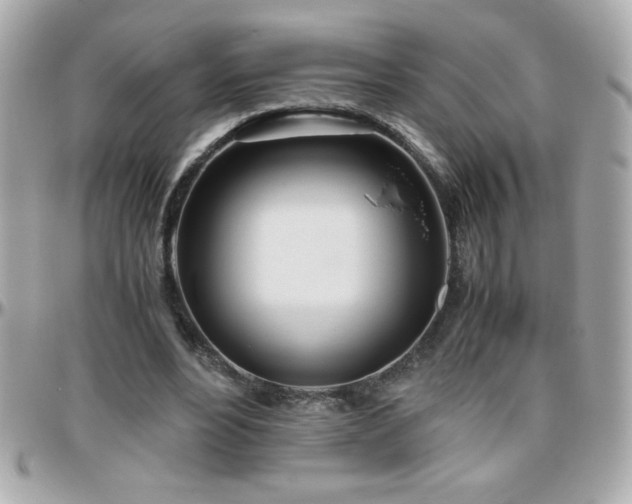 X0000096460488200801241410