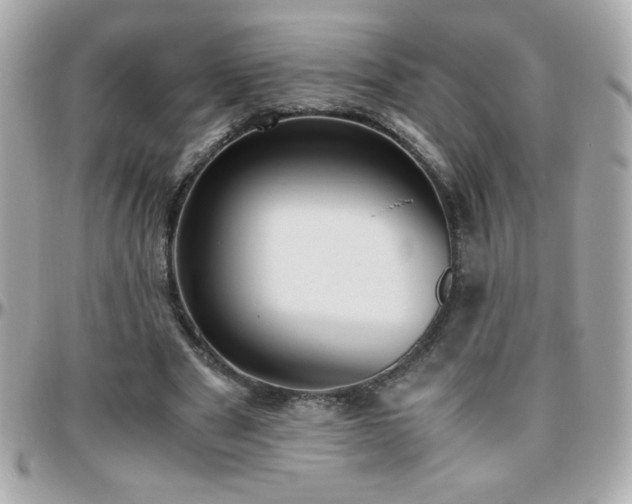 X0000096460489200801241410