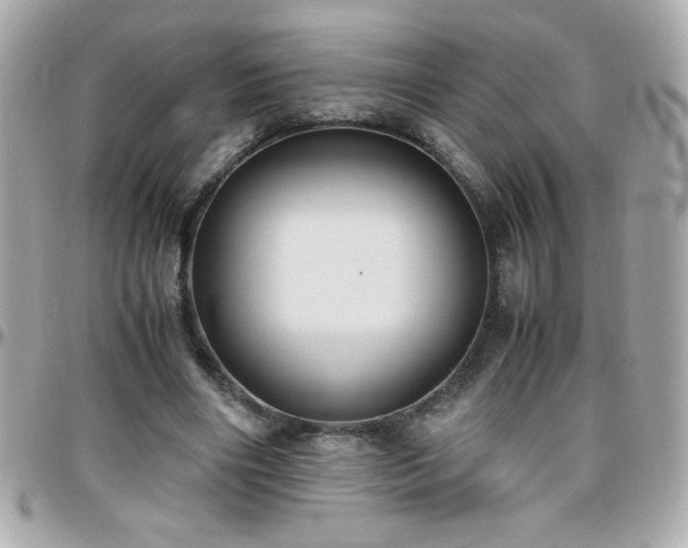 X0000096460490200801241410