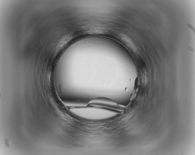 X0000096460491200801241410