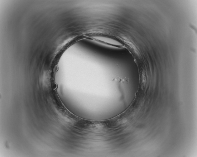 X0000096460492200801241410