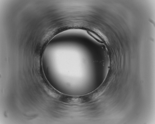 X0000096460493200801241410
