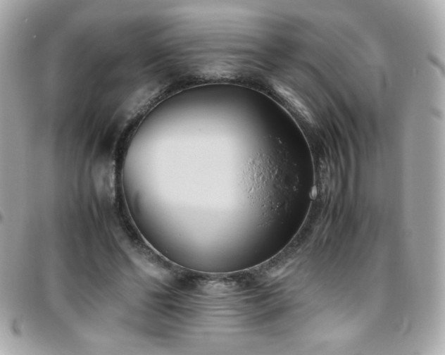 X0000096460494200801241410
