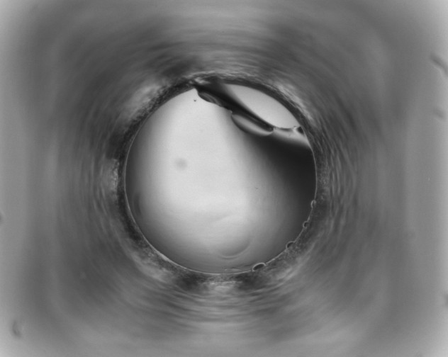 X0000096460495200801241410