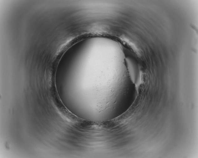 X0000096460496200801241410