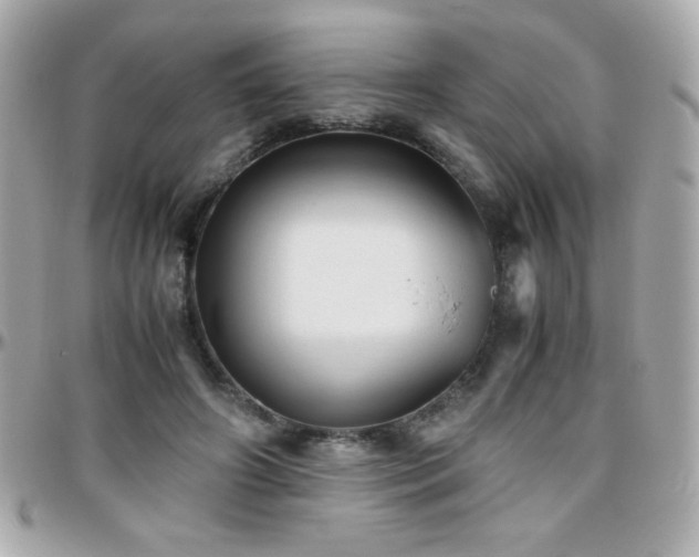 X0000096460498200801241410