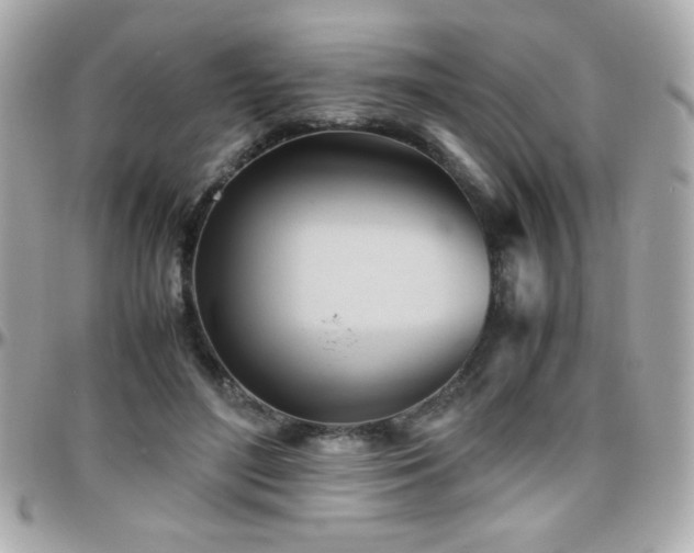 X0000096460500200801241410
