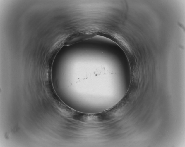 X0000096460501200801241410
