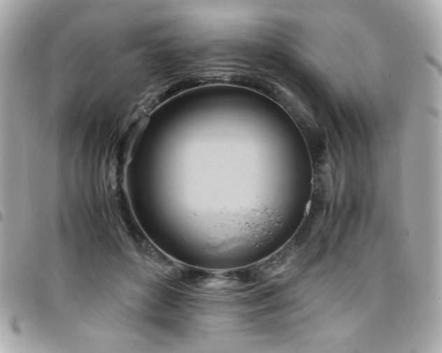 X0000096460504200801241410