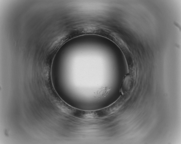 X0000096460505200801241410