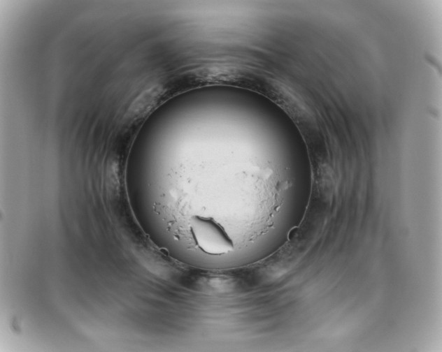 X0000096460506200801241409