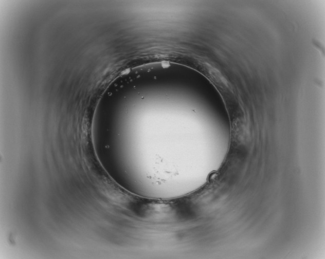 X0000096460509200801241409