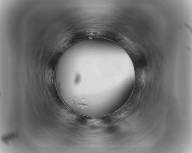 X0000096460511200801241409