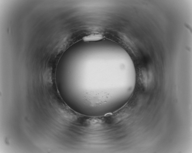 X0000096460512200801241409