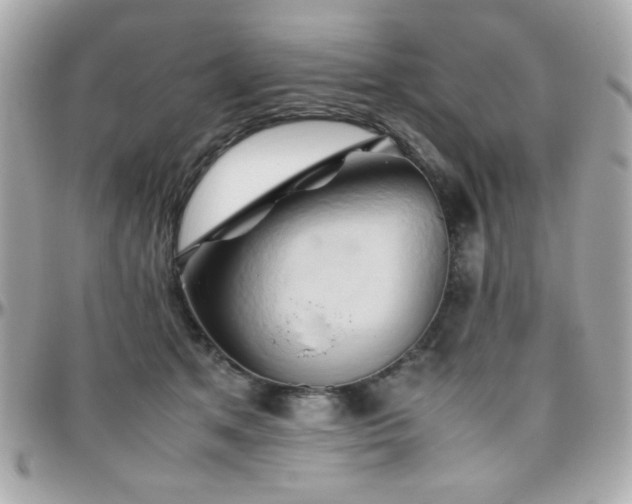 X0000096460513200801241409