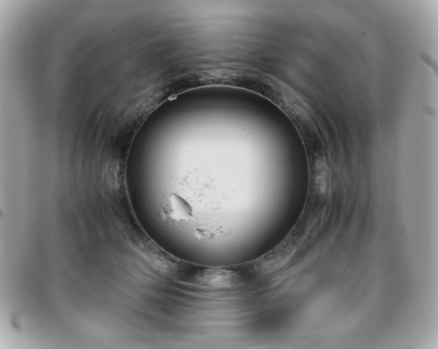X0000096460514200801241409