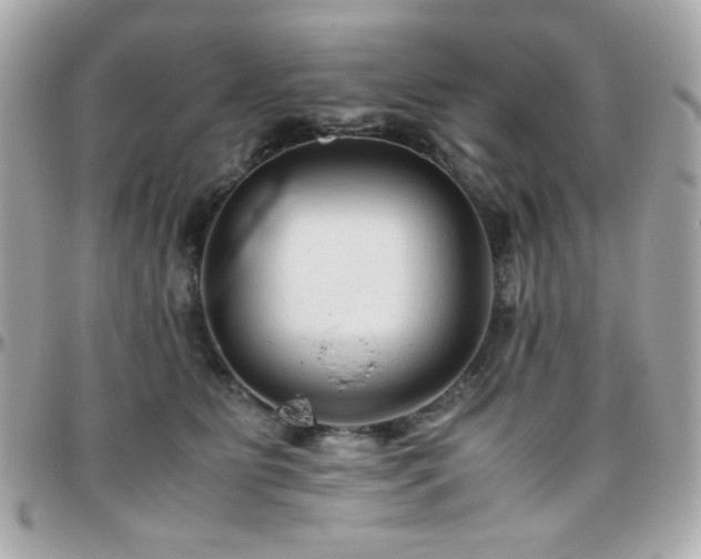 X0000096460515200801241409