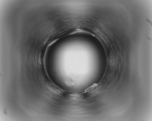 X0000096460516200801241409