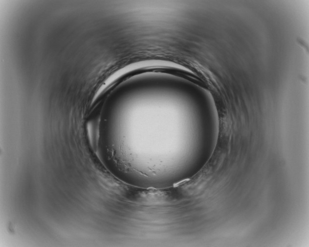 X0000096460517200801241409