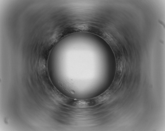 X0000096460518200801241409