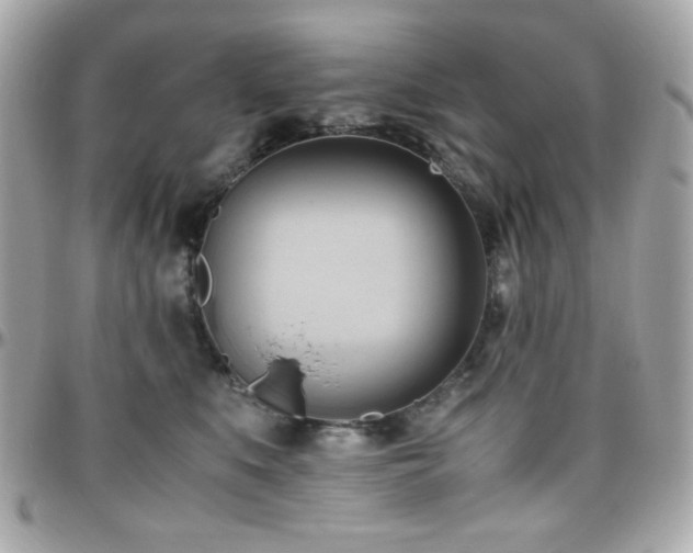 X0000096460519200801241409