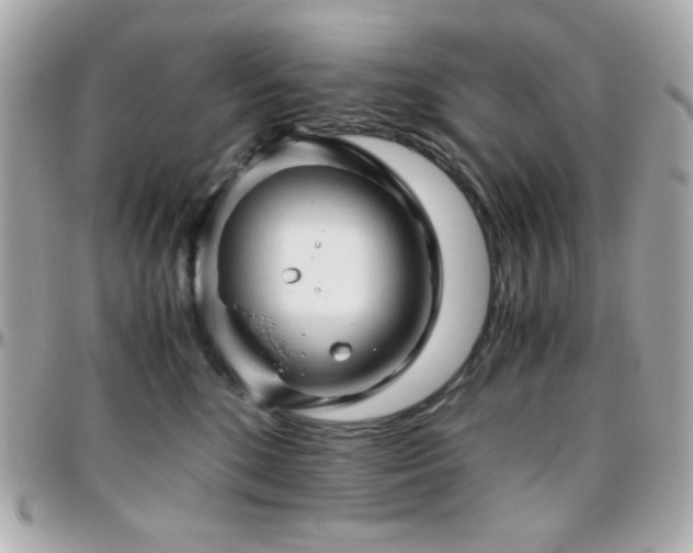 X0000096460520200801241409