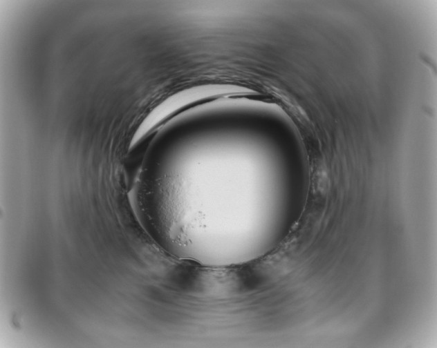 X0000096460521200801241409
