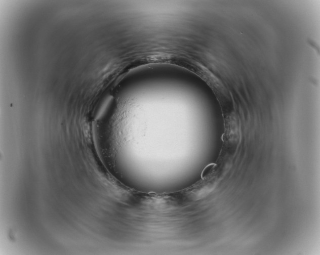 X0000096460523200801241409