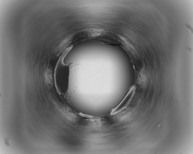 X0000096460524200801241409