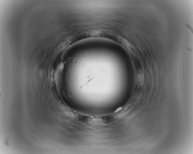 X0000096460525200801241409