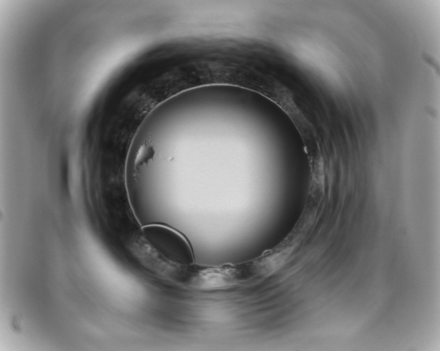 X0000096460526200801241409