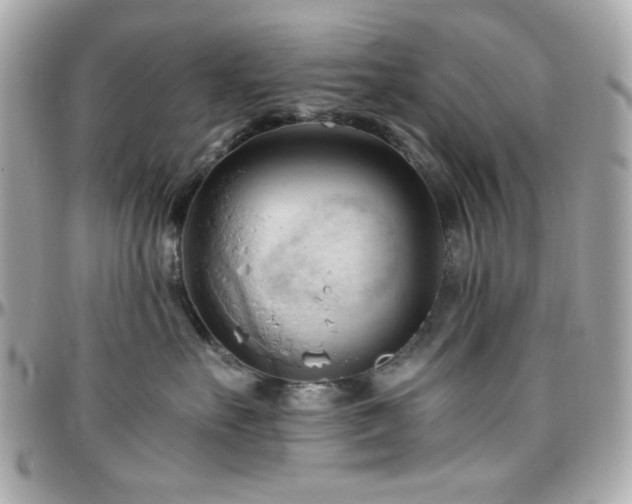 X0000096460527200801241409
