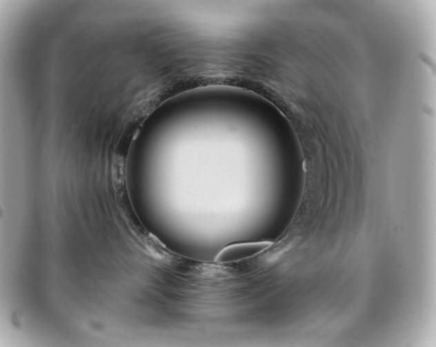 X0000096460528200801241409