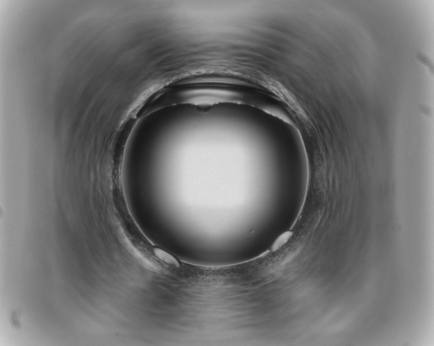 X0000096460530200801241409